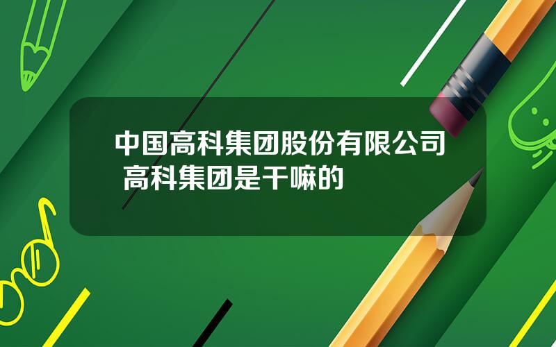 中国高科集团股份有限公司 高科集团是干嘛的